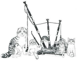 Scottish Fold Cat with Kittens & Bagpipes A Ltd Edition