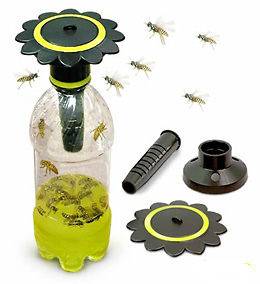Soda Bottle Wasp Trap   Get Rid of Wasps, Bees, Hornets