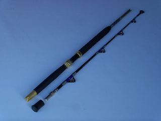 Travel 2 Piece Roller Guides Troll Fishing Rod 30 50