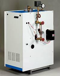 natural gas boiler in Furnaces & Heating Systems