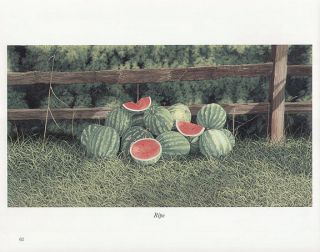 BOB TIMBERLAKE print watermelons RIPE