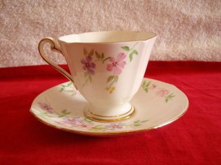   ROSLYN Hand Painted Fine Bone China CUP & SAUCER SET Made In England