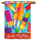 Breeze Art ~~ JUST CHILLIN ~ DOUBLE SIDED ~ POPSICLE ~ Standard Flag 