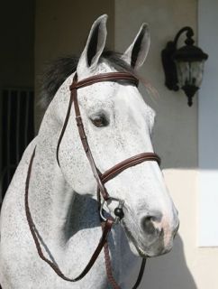 hdr bridle in Bridles