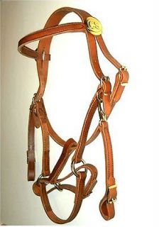 Bridle Halter Combo Unit with CS or US Rosettes Civil War Cavalry 