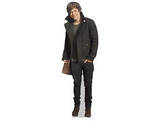Harry Styles Life Size Cardboard Cutout Real Stand Up Merchandise One 