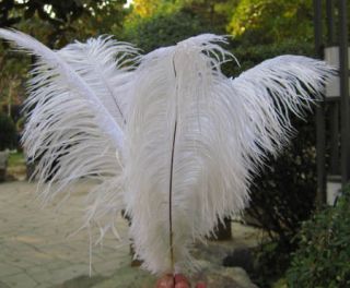   Black/White Ostrich Feathers Wedding Centerpieces U Pick Size/Color
