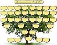 Family Tree Chart   5 Generation Family Chart (Pack of 2)