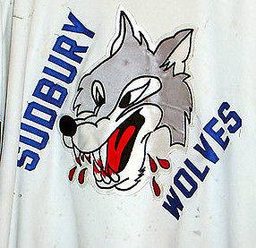 Sudbury Wolves OHL CHL CCM Maska Hockey Jersey Iron On Patch Crest