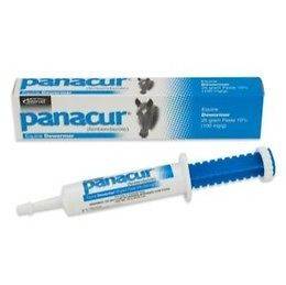 Intervet Panacur Equine Dewormer 25 gram paste 10%