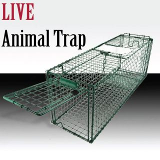   Skunk Possum Rabbit Cat Live Humane Animal Trap 31x9x11 Cage Green