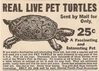1934 REAL LIVE PET TURTLES BY MAIL FOR $.25 ADVERTISEMENT AD