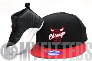   Bulls Air Jordan 12 Playoff Matching New Era Kids Snapback Hat ONLY