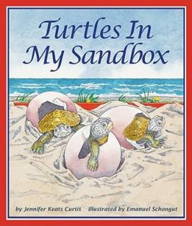turtle sandbox in Pretend Play & Preschool