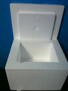 styrofoam insulation in Insulation