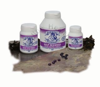 Dorwest Herbs Dog/cat Supplement Kelp Seaweed Powder