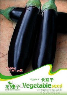 Eggplant Seed Long Nutrient Food 30 Vegetables Seeds