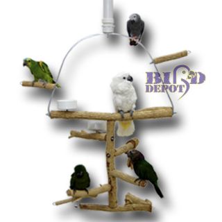   Bottlebrush Hanging Play Gym Perch Stand Bird Parrot Large 3912W