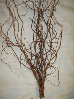 Fresh Curly Willow Branches ONE DOZEN . lot 9.99 OTHER SIZES 