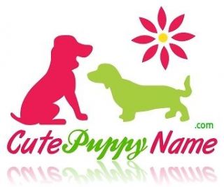 Bottles Natural Dog/Puppy Vitamins Supplement Spray Liquidation Sale 
