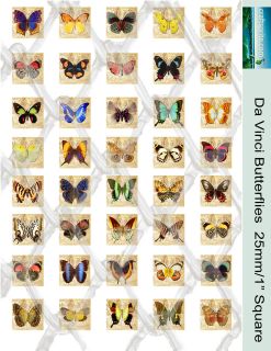 40 Da Vinci Butterfly Images 25mm /1 Square Collage Paper   Glass 