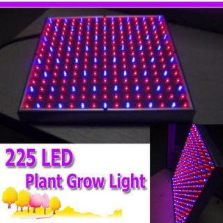full spectrum led grow lights in Grow Lights