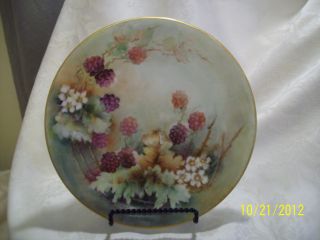    Decorative Collectible Brands  Limoges  Collector Plates