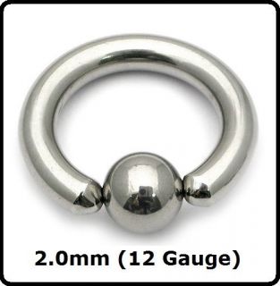   ) Large Gauge Steel BCR, Ball Closure Ring, Prince Albert, PA, Ear