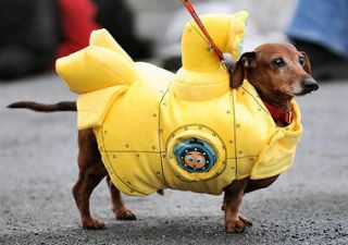 Yellow Submarine Dog COSTUME NEW large 18 22 bULLDOG CORGI SPRINGER