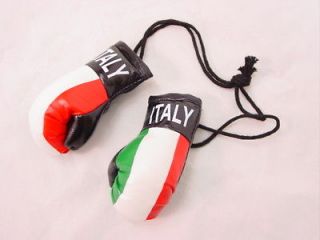 BOGO Mini Boxing Glove Sets   ITALY   Auto Dorm Decor