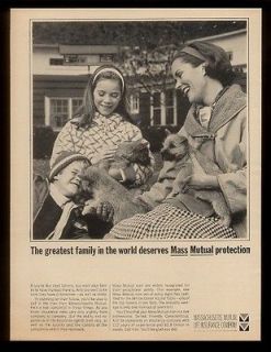   Norfolk Terrier dogs photo Massachusetts Mutual Insurance print ad