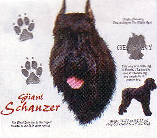 Giant Schnauzer Dog Printed Long Sleeve Sweatshirt**Si​ze XXL