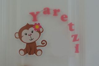 Girl Monkey PERSONALIZED cake topper or ANY character Cake Decoration