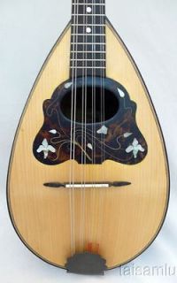 Newly listed Antique Italy mandolin, Solid Rosewood bowlback 