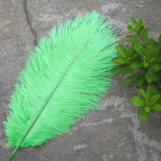 green ostrich feathers in Feathers