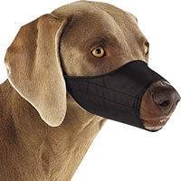 dog muzzle large in Muzzles