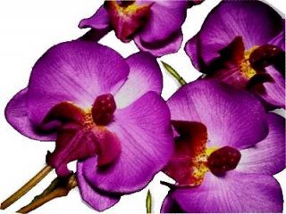   Violet Phalaenopsis Artificial Silk Orchid Flower stem WEDDING decor