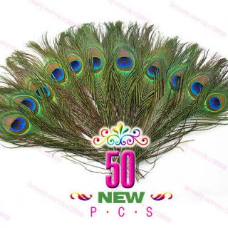 peacock feather in Crafts