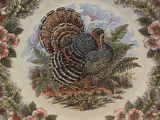 Myott Multi Colored Thanksgiving Turkey Dinner Plates NWT