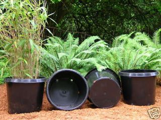plastic nursery pots in Planters, Pots & Window Boxes