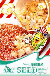 Popcorn Seed ★30 Vegetable Zea mays var.rugosa Bomaf Organic Healthy 