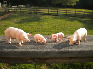 PIG FAMILY by Schleich;pigs/toy/sow/piglet/farm animals