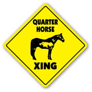 racing quarter horses