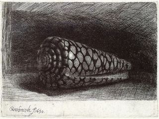 Rembrandt Etchings The Shell and Rembrandts Mother   2 Fine Art 