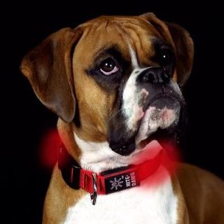   Large Red LED Dog Collar by Nite Ize   Light up your Pet for Safety