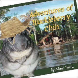 Magnet Picture Adventures of Huckleberry Chinchilla Funny Twain Chin