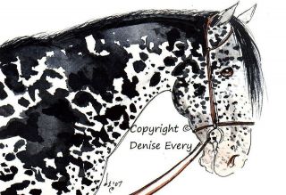   Appaloosa Snaffle Bit Western Sports Horse Equine Art ACEO Print
