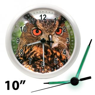 Owl 10 La Crosse Wall Clock with LED Glowing Hands NEW Model 403 310E