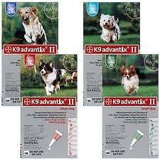 ADVANTIX II 6 Applications for MEDIUM Dogs (11 20 lbs) EPA 