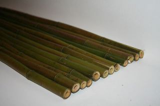 River Cane (bamboo) Poles for crafts, weaving, flutes, blow guns, Qty 